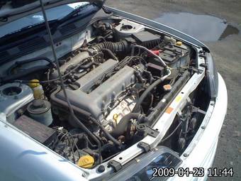 1999 Nissan Primera Pics