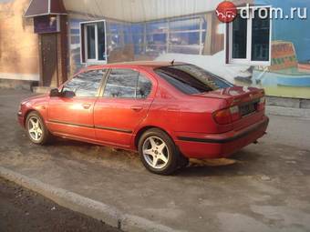 1999 Nissan Primera Photos