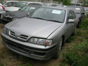 1999 Nissan Primera Pictures