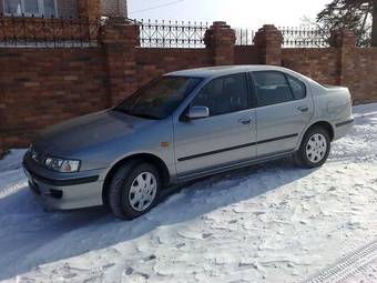 1999 Nissan Primera Pictures
