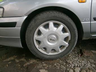 2000 Nissan Primera Pictures