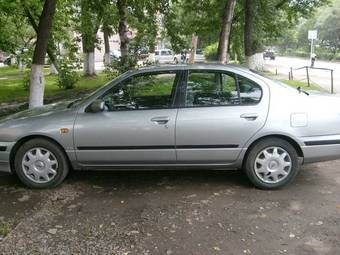 2000 Nissan Primera Pictures