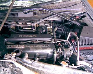 2000 Nissan Primera Pictures