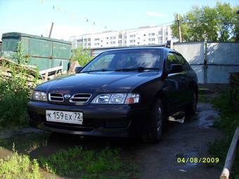 2000 Nissan Primera Pictures