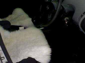 2001 Nissan Primera Pictures