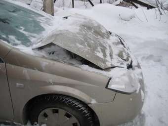 2002 Nissan Primera Images