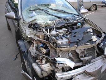2004 Primera