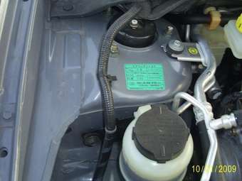 2004 Nissan Primera Pictures