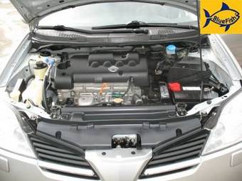 2004 Nissan Primera Pictures