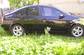 Preview Nissan Primera