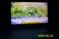 Preview Nissan Primera
