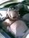 Preview Nissan Primera
