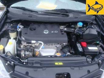 2006 Nissan Primera Pictures
