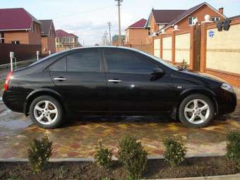 2007 Nissan Primera Pictures