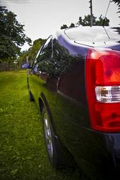 2007 Nissan Primera Pictures