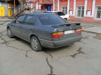 1994 Primera Camino