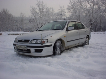 1998 Primera Camino