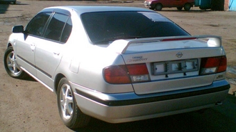 1998 Primera Camino