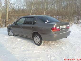 1998 Primera Camino