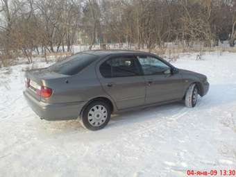 Nissan Primera Camino