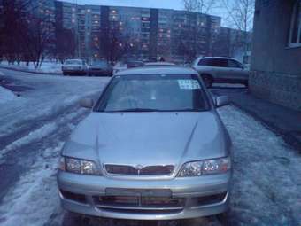 1998 Primera Camino