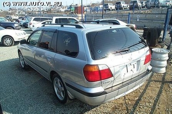 Primera Wagon