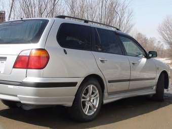 Primera Wagon