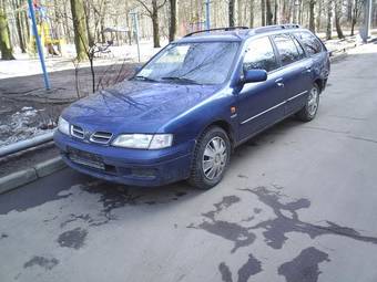1999 Nissan Primera Wagon Pictures
