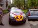 Preview 2008 Qashqai