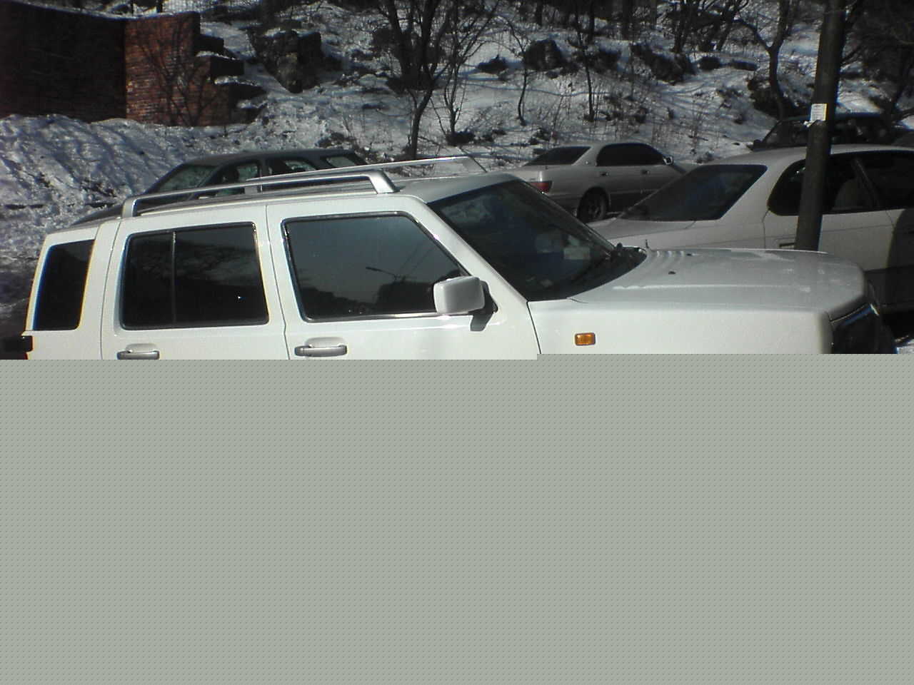 1996 Nissan Rasheen
