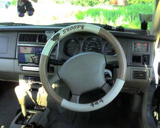 1999 Nissan Rasheen Photos