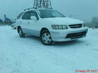 1998 R~nessa