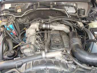 Nissan Safari