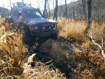 2009 Nissan Safari Pics