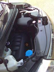 2005 Nissan Serena Pictures