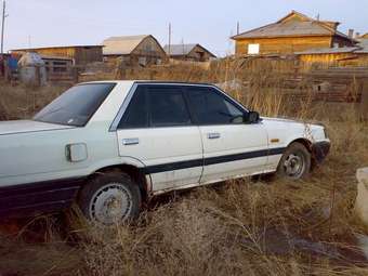 1988 Skyline