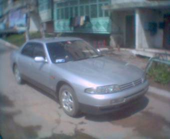 Skyline
