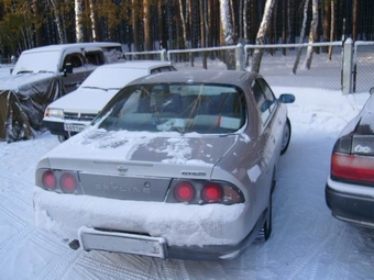 1995 Skyline