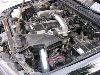 1995 Skyline
