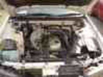 1995 Skyline