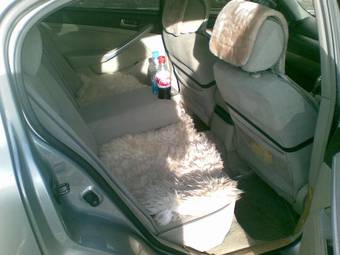 2002 Nissan Skyline Photos