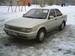 Pictures Nissan Sunny