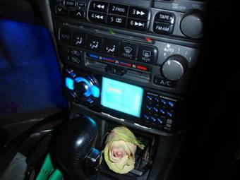 1999 Nissan Sunny Pictures