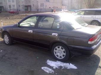 2001 Nissan Sunny Pictures