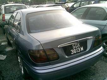 2003 Nissan Sunny Photos