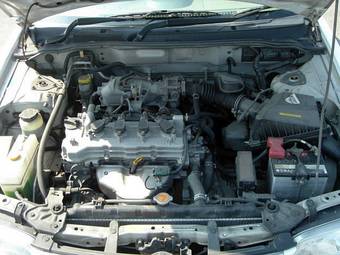 2004 Nissan Sunny Photos