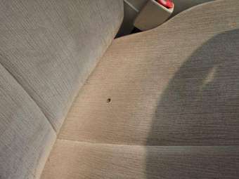 2003 Nissan Teana Pics