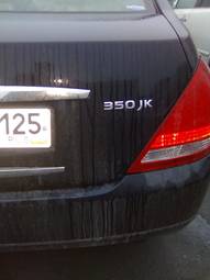 2003 Nissan Teana Photos
