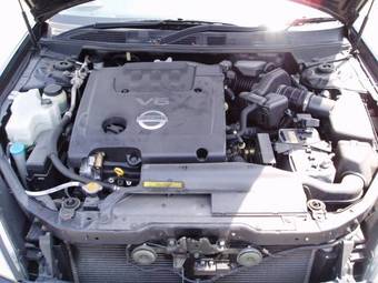 2003 Nissan Teana Pics