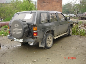Terrano